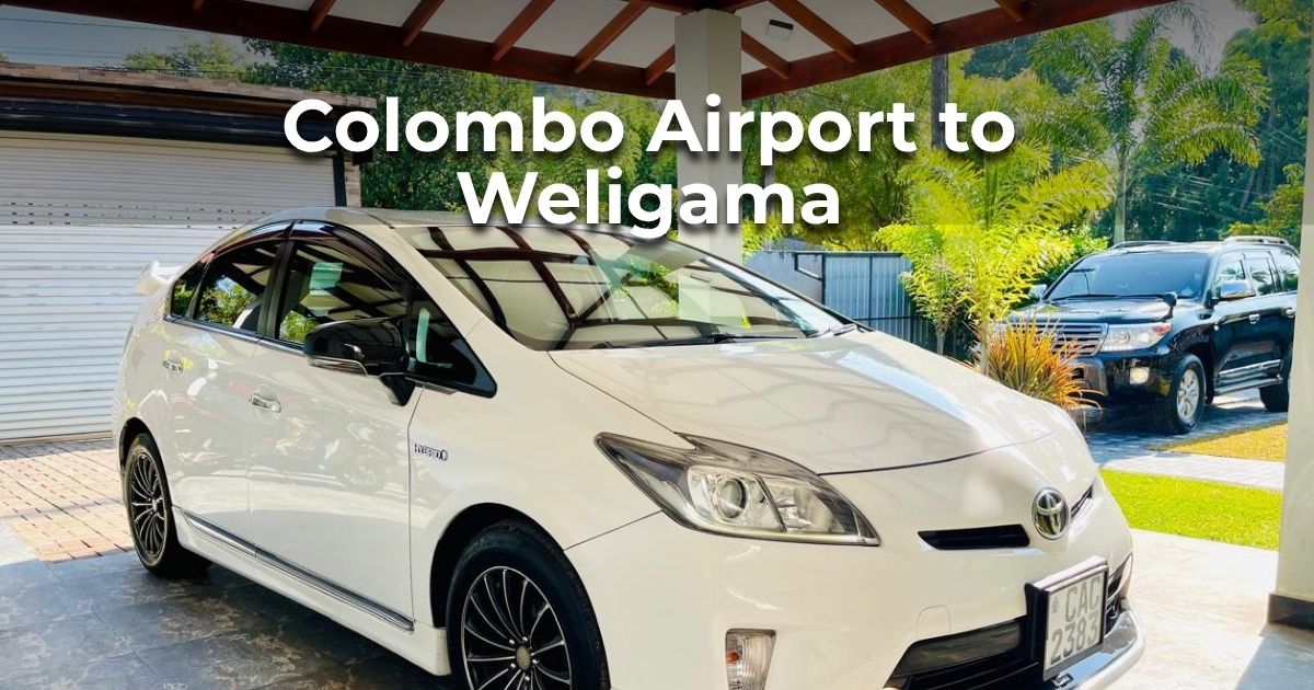 Colombo Airport to Weligama: The Easiest Way to Start Your Sri Lanka Trip