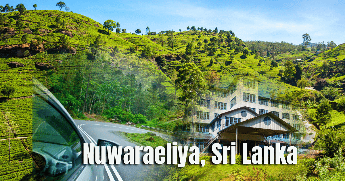 Airport to Nuwara Eliya Private Car Transfer