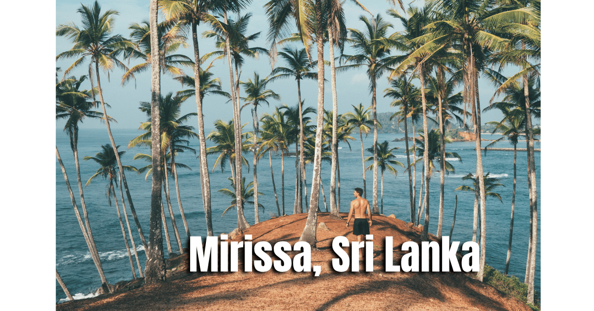 Airport to Mirissa Private Car Transfer