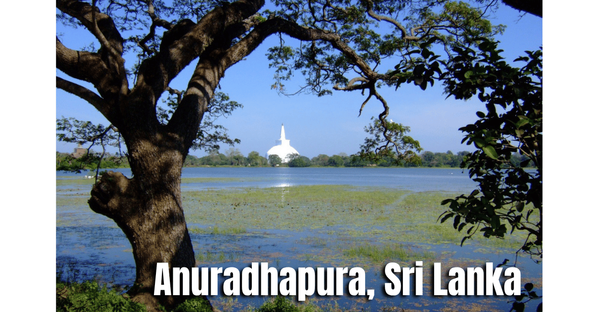 Airport to Anuradhapura Private Car Transfer